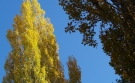 PB080801